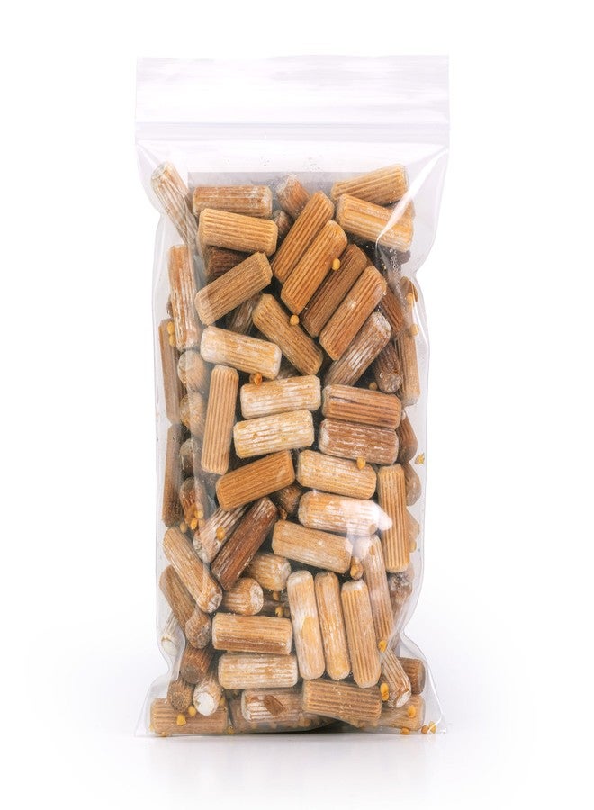 North Spore Organic Shiitake (100 ct) Mushroom Plugs for Logs | Premium Quality Mushroom Plug Spawn | Handmade in Maine, USA | Grow Gourmet Mushrooms Outdoors on Logs | Lentinula edodes - Image 2
